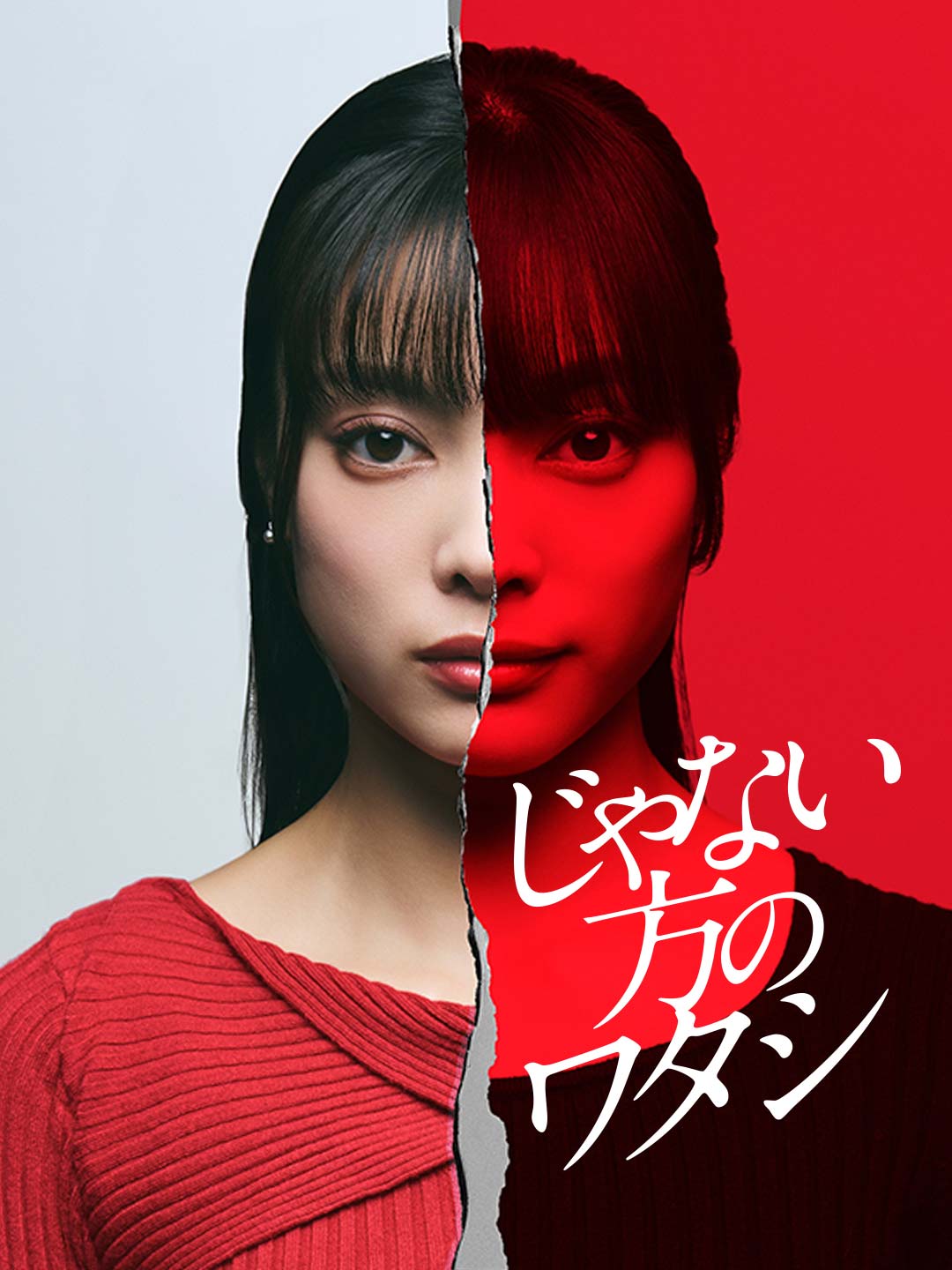 じゃない方のワタシミニシリーズ