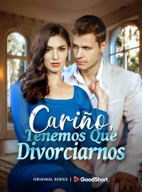 Cariño, Tenemos Que DivorciarnosMiniseries