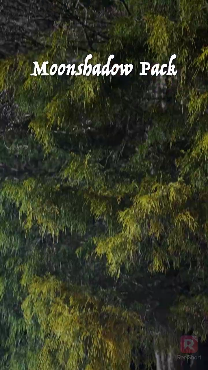 Dois Alfas Estão Apaixonados por MimFoto