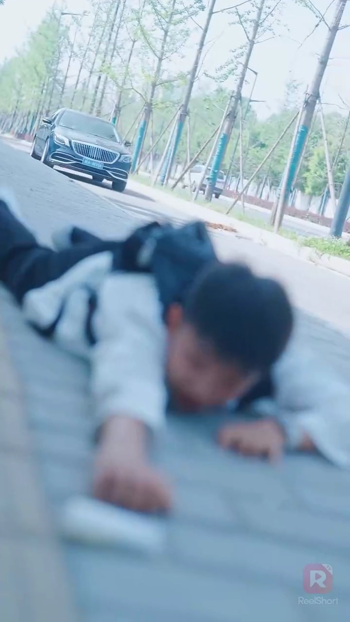 As Tias do Jovem MestreFoto