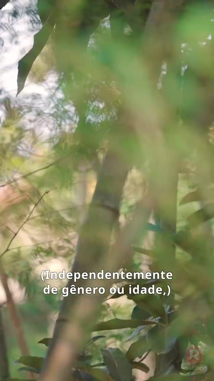 A Garota MediadoraFoto