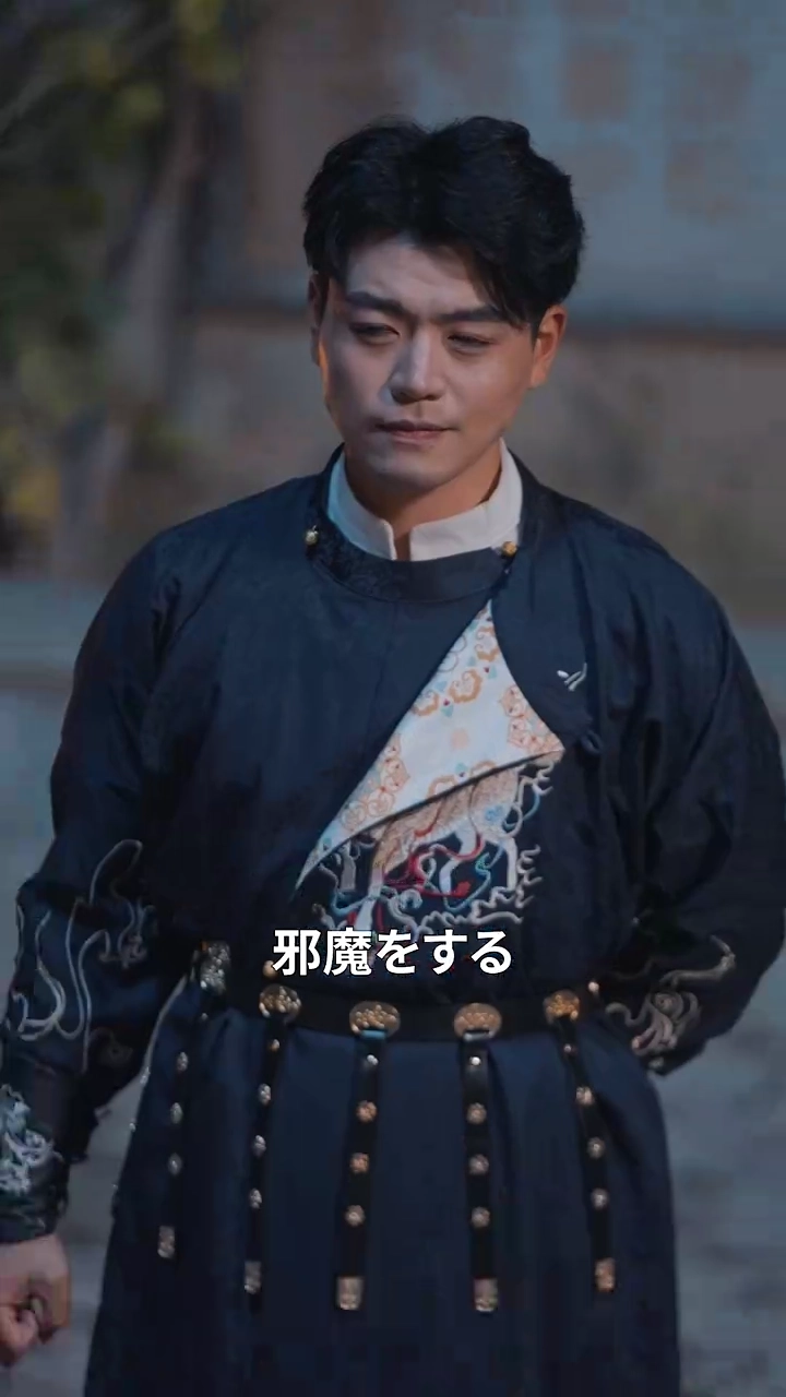 武の絆：恨みと愛写真