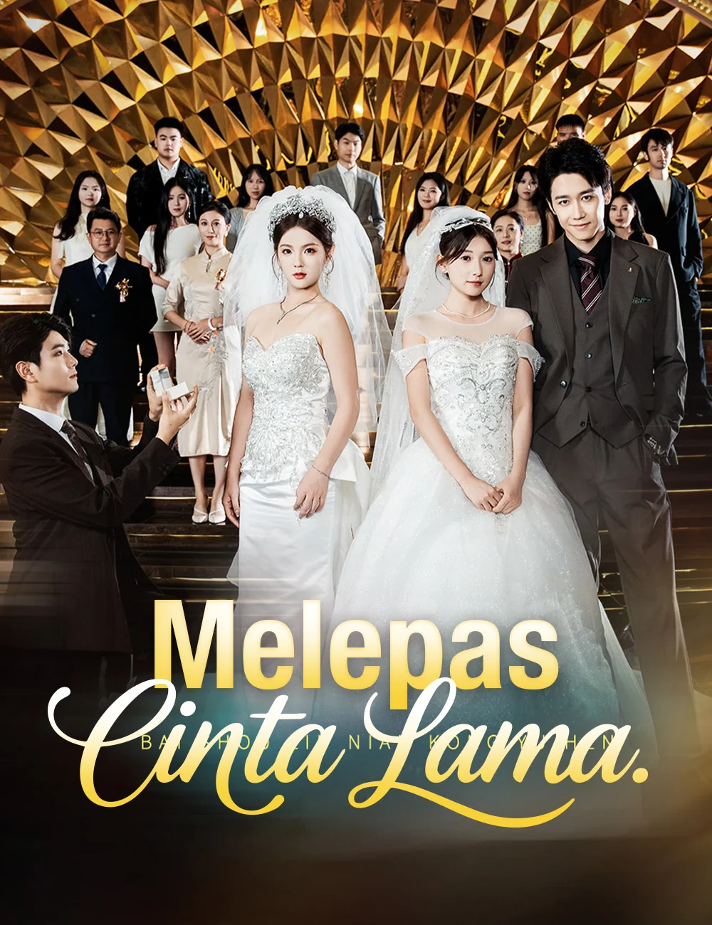 Sampul Melepas Cinta Lama