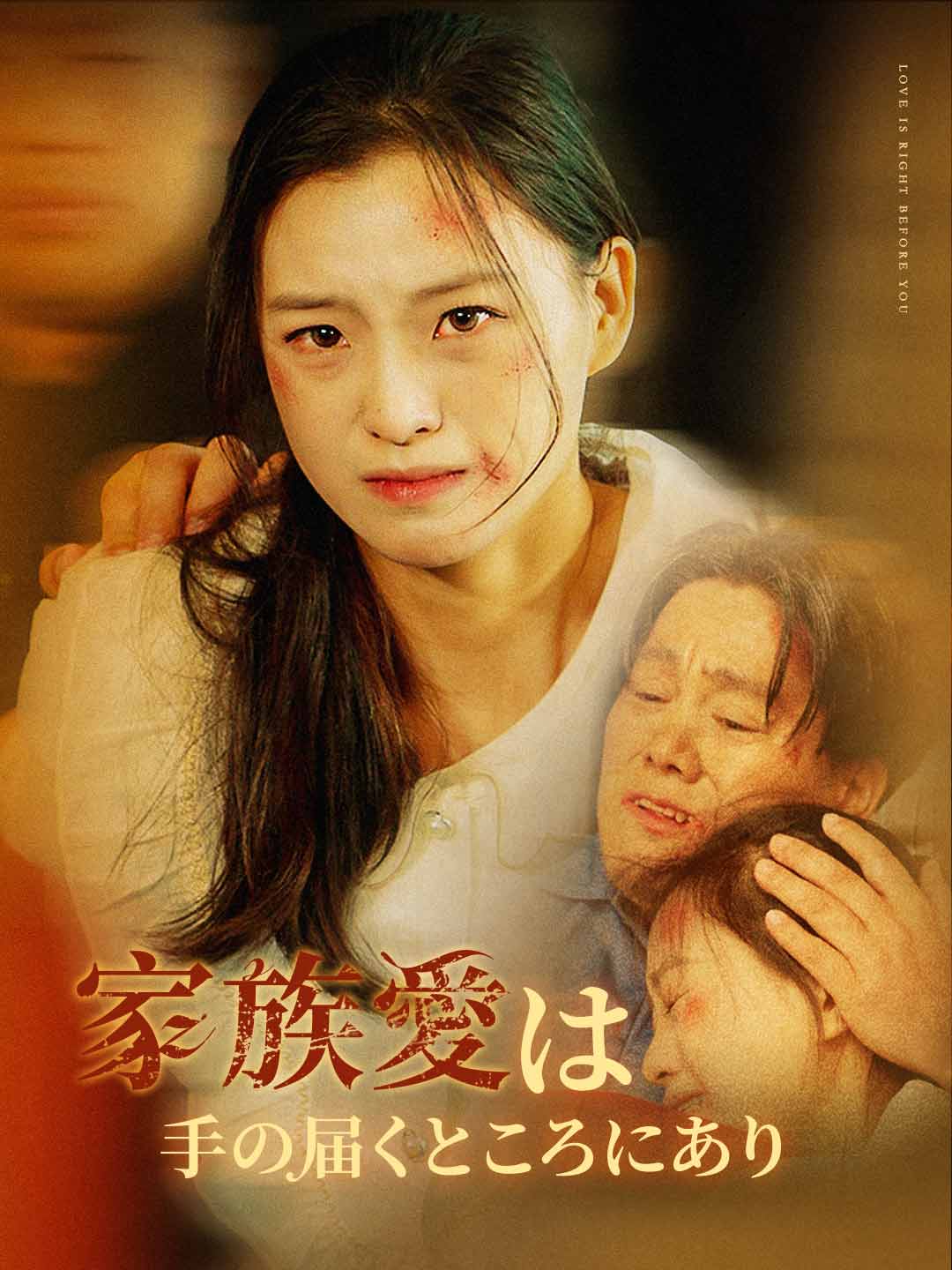 家族愛は手の届くところにありミニシリーズ