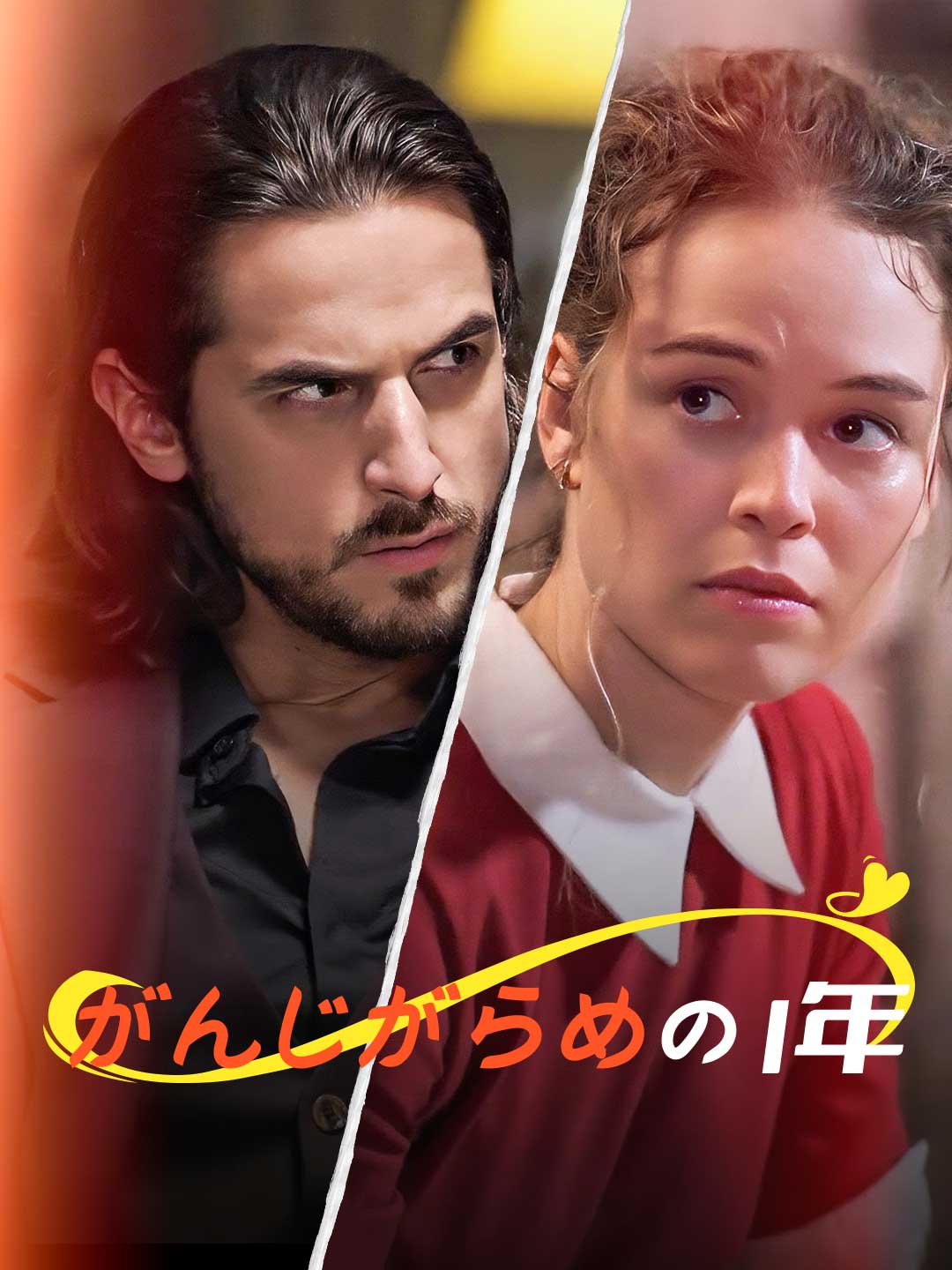 がんじがらめの1年ミニシリーズ