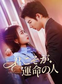 君こそが、運命の人ショートドラマ