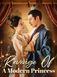 Revenge Of A Modern PrincessMini Series
