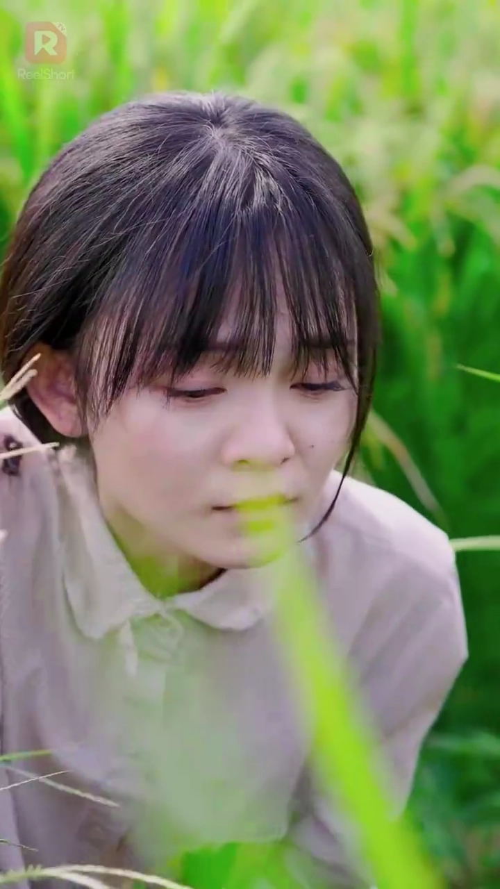 นางฟ้าจากฟากฟ้ารูปภาพ