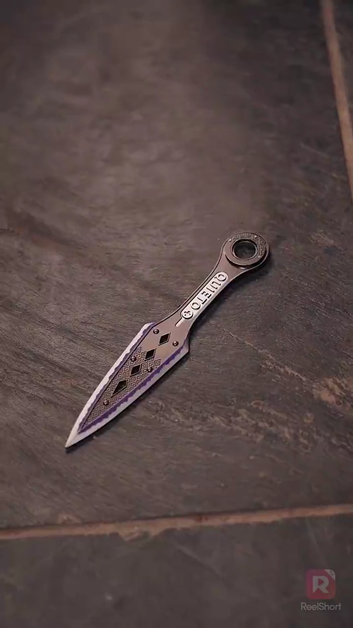 มือปราบเลือดเย็น ใจกลับหฤทัยอุ่นรูปภาพ