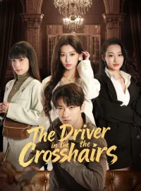 The Driver in the CrosshairsShort Dramas