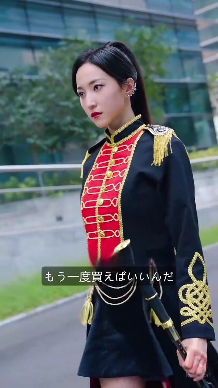 なりすまし将軍が戦う写真