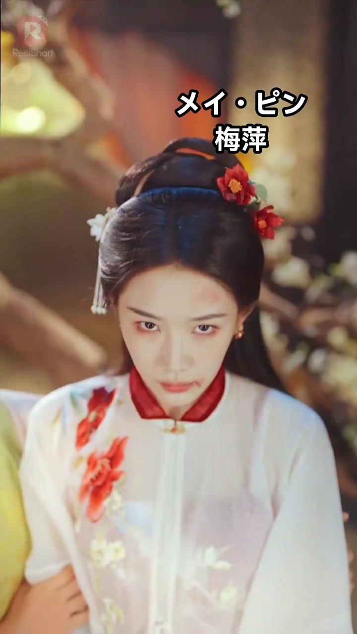 吉天照 ～密やかなる下女の復讐～写真