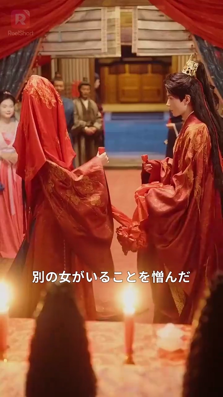 妹の身代わりに嫁いだら、彼が狂ってしまいました写真