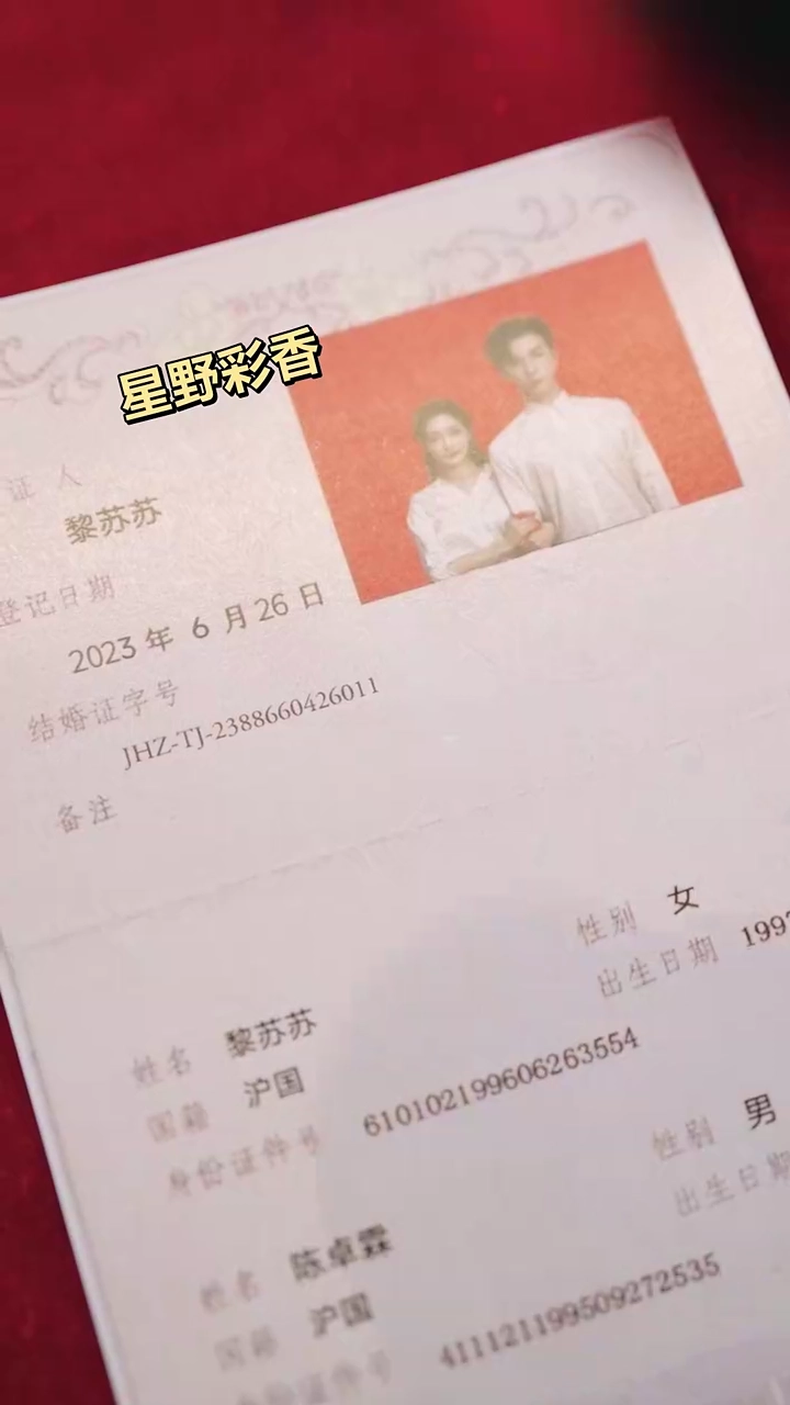 「十年の偽愛」崩壊の夜写真