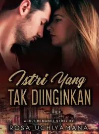 Sampul Novel Istri yang Tak Diinginkan