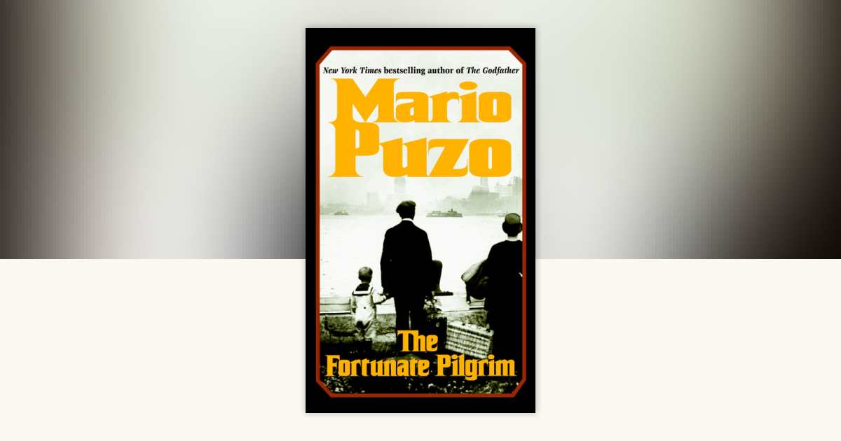 Mario Puzo book