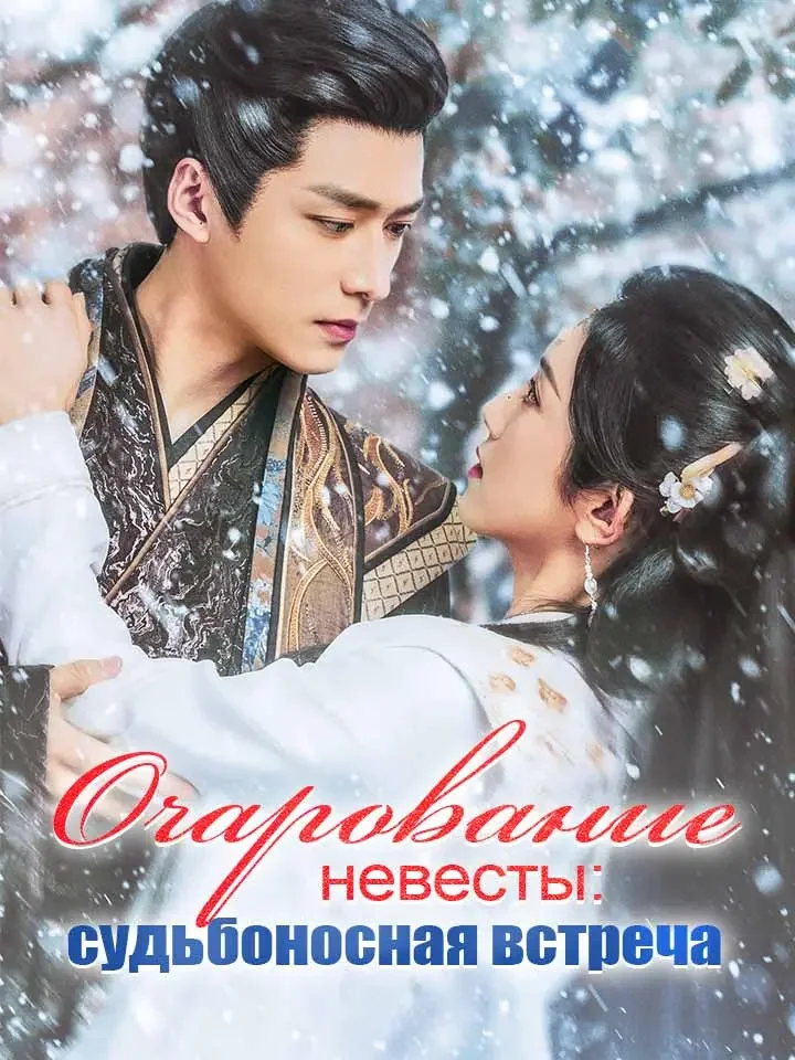 Очарование невесты: судьбоносная встречаМини-сериал