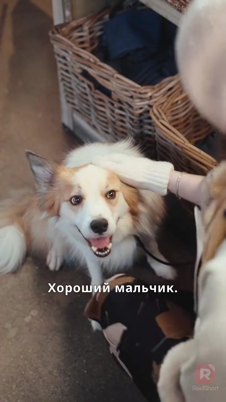 Король готовки: Путь к местифото