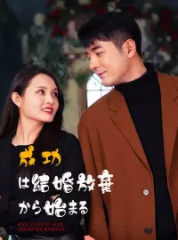 成功は結婚放棄から始まるミニシリーズ