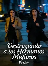 Portada de la novela Destrozando a los Hermanos Mafiosos