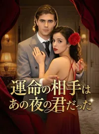 運命の相手は あの夜の君だったショートドラマ