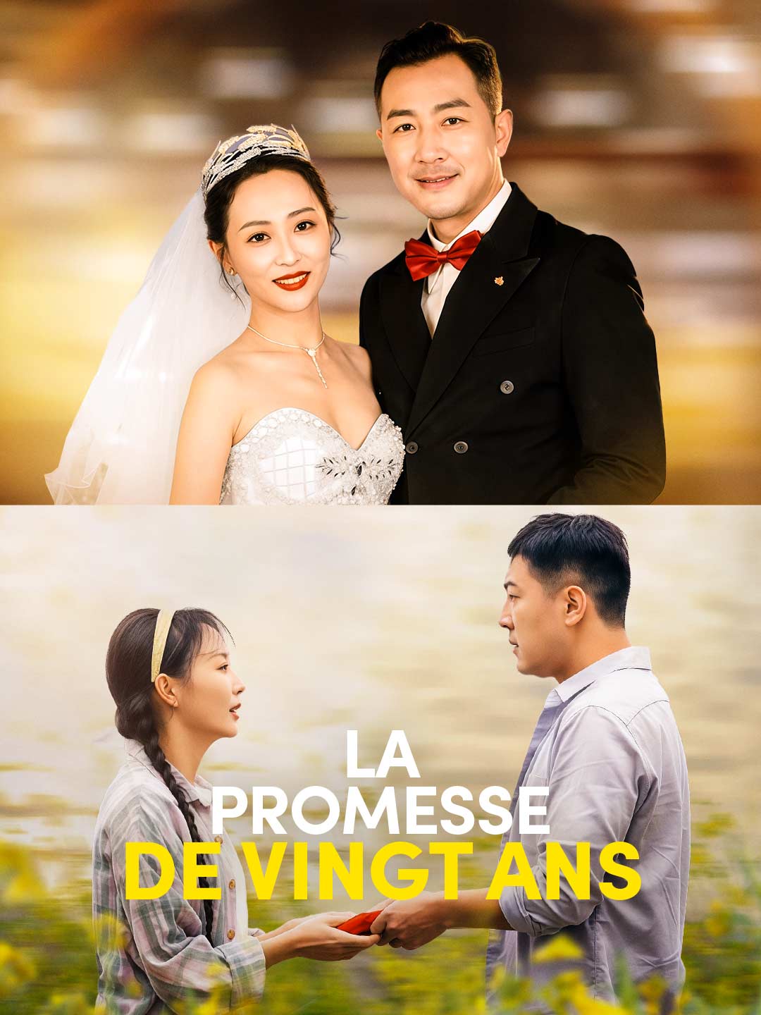 La promesse de vingt ansMini-séries