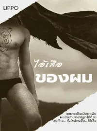 หน้าปกนวนิยาย ไอ้เสือ-ของผม