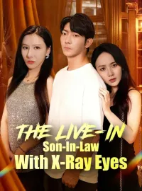 The Live-In Son-In-Law With X-Ray EyesMini Series