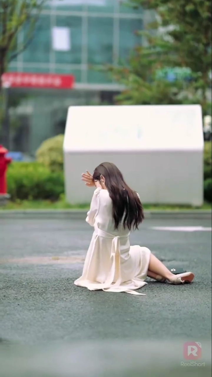 ［吹き替え版］昨夜の星は風に消え写真