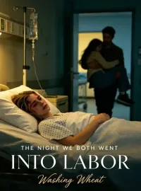 The Night We Both Went Into Labor Novel Cover