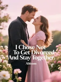 I Chose Not To Get Divorced And Stay Together Novel Cover