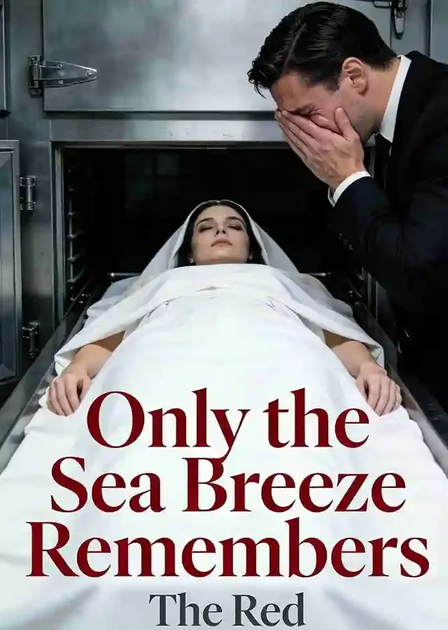 Only the Sea Breeze Remembers Novel Cover