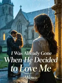 I Was Already Gone When He Decided to Love Me Novel Cover