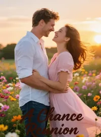 A Chance Reunion Novel Cover
