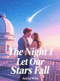 The Night I Let Our Stars Fall Novel Cover
