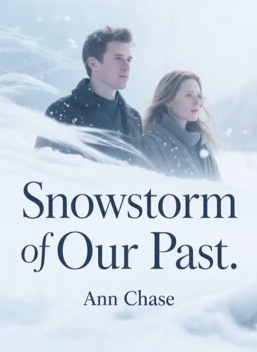 Snowstorm of Our Past Novel Cover