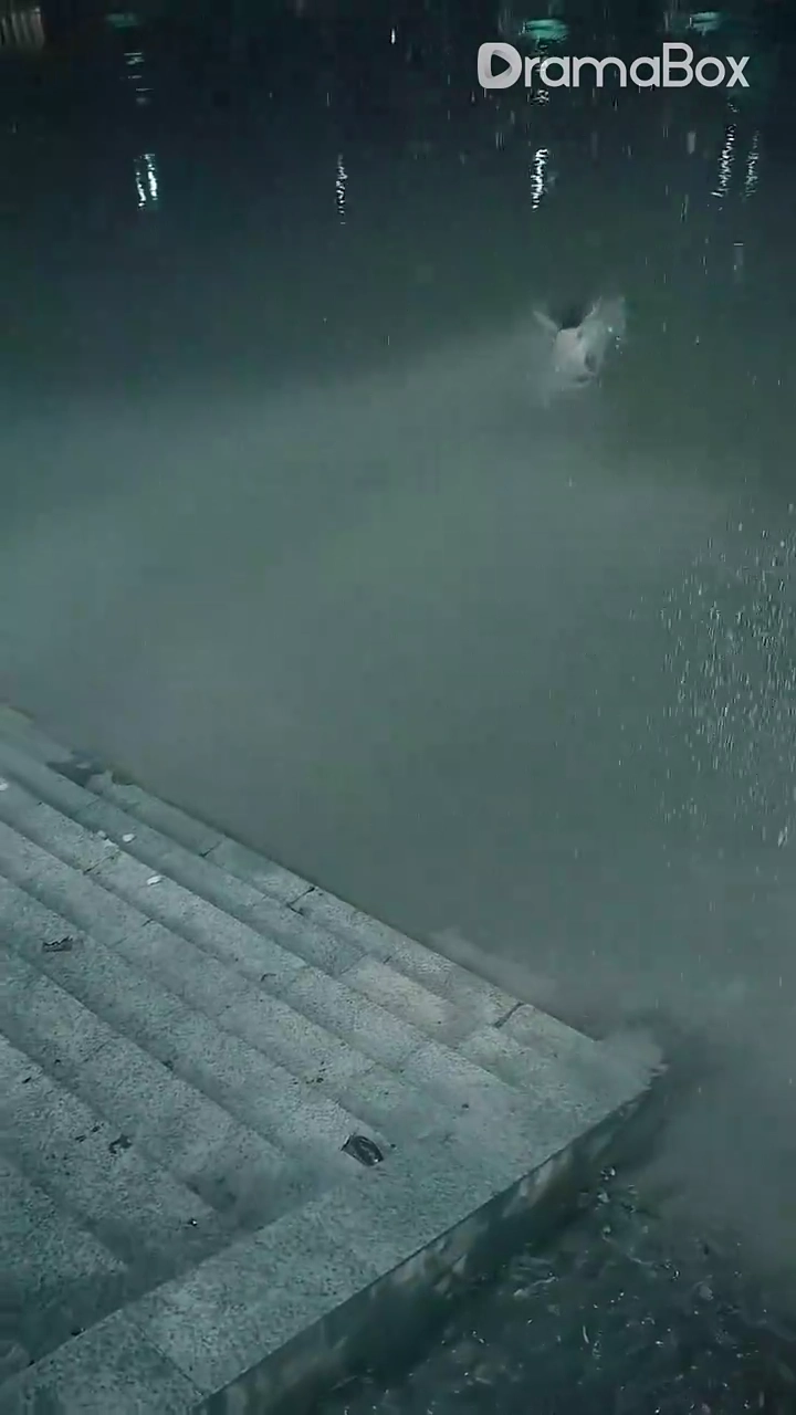 父の輝き（日本語吹替版）写真