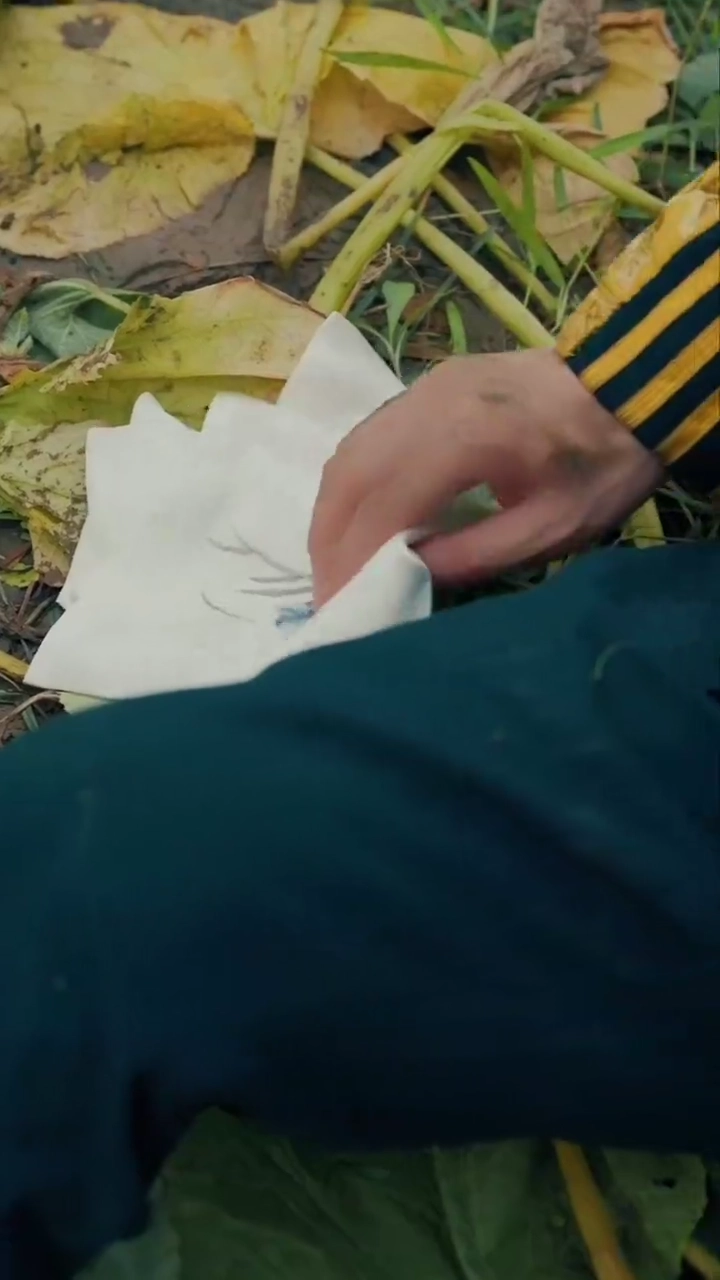 将軍と五年目の恋人写真