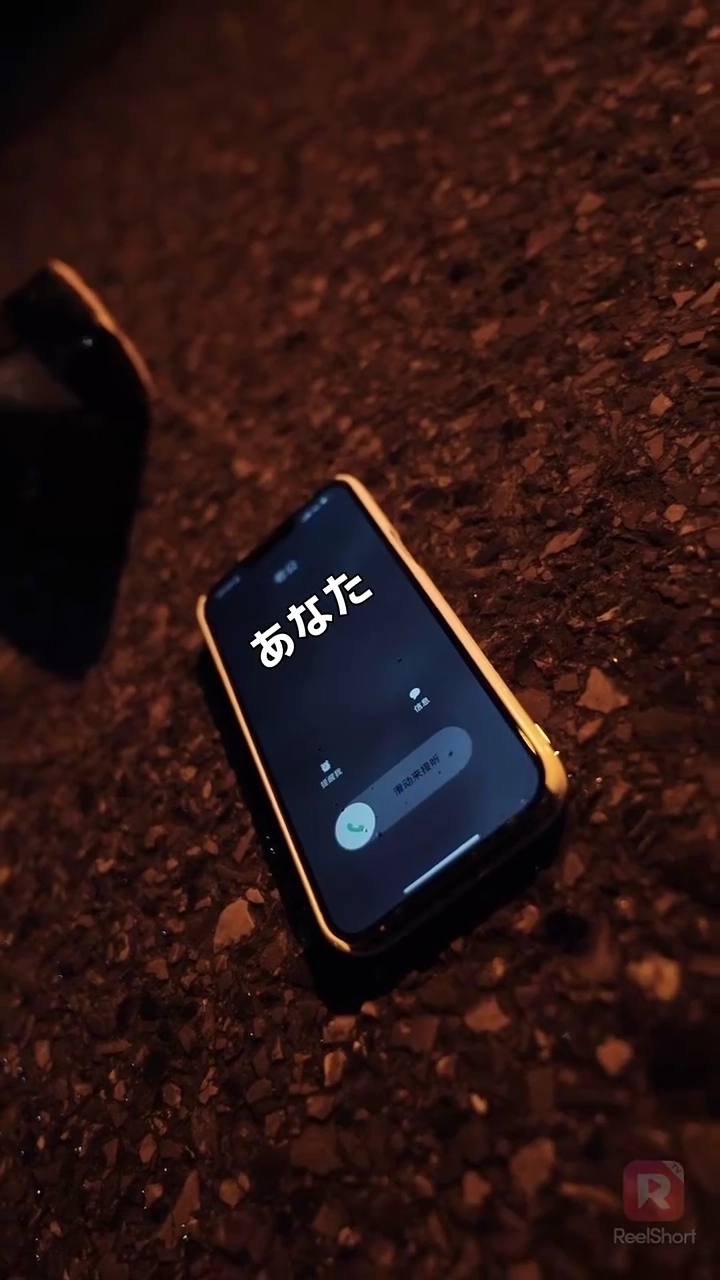 復讐は離婚から始まる写真