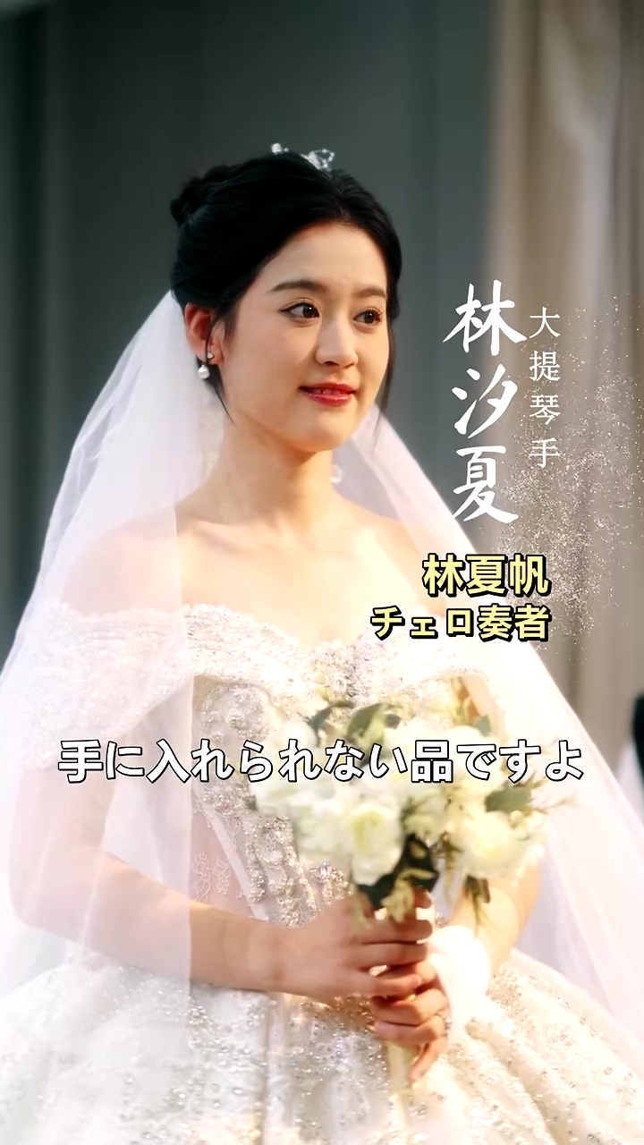 消えゆく音色～私と君が残した愛写真