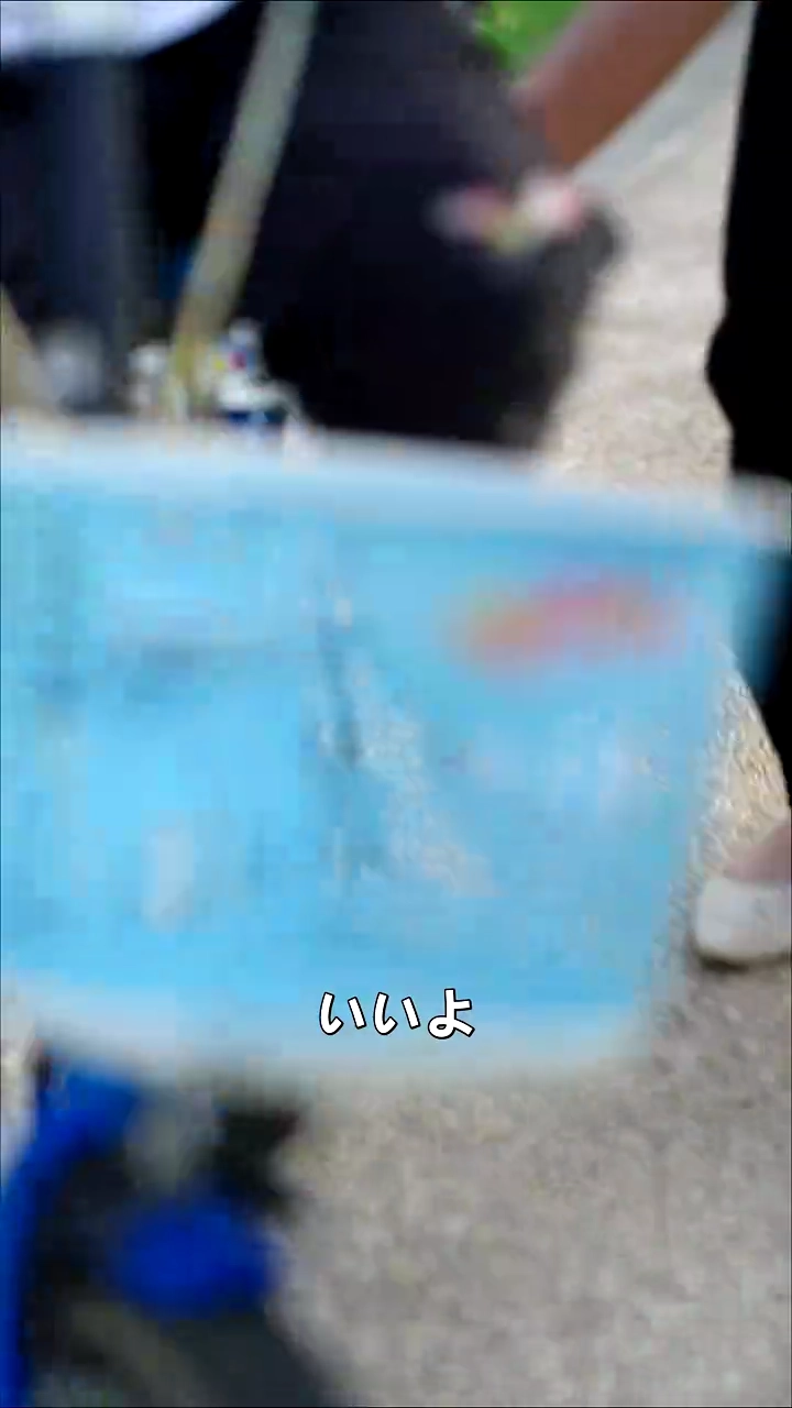 夫への復讐写真