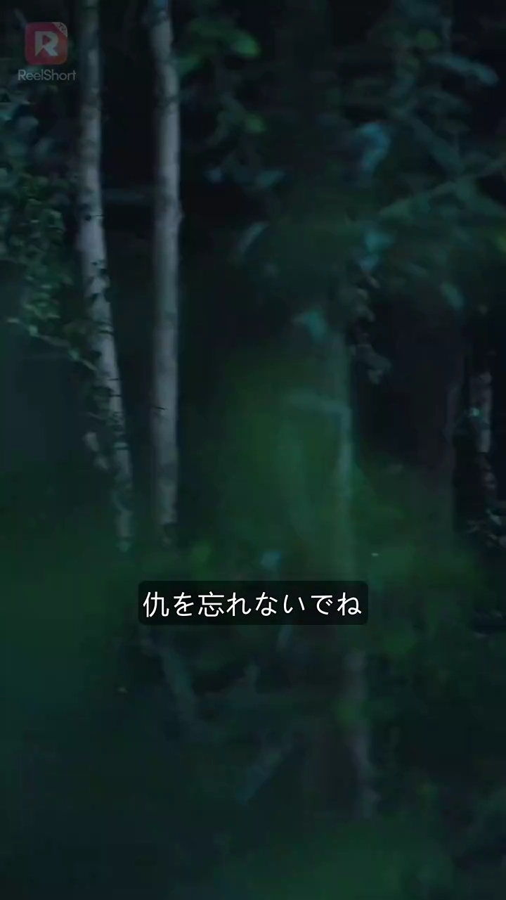 本物令嬢の逆襲写真