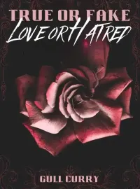 True or Fake, Love or Hatred Novel Cover