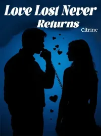 Love Lost Never Returns Novel Cover