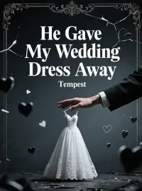He Gave My Wedding Dress Away Novel Cover
