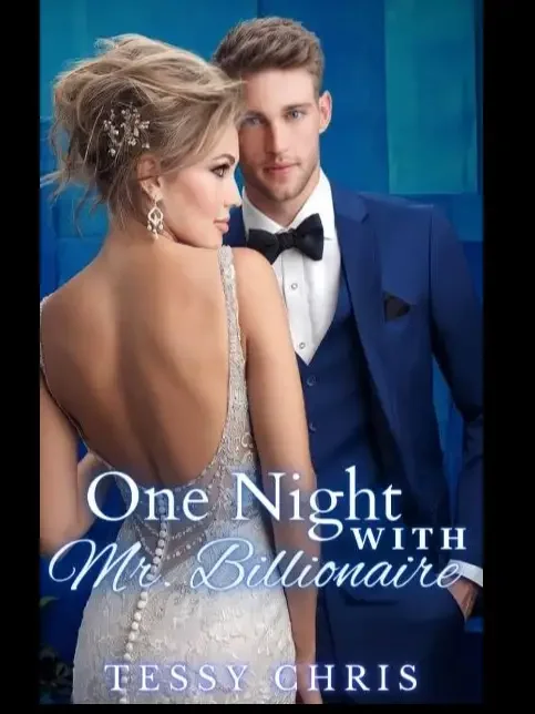 One Night With Mr Billionaire Novel Cover