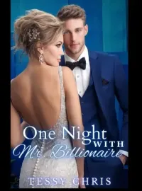 One Night With Mr Billionaire Novel Cover
