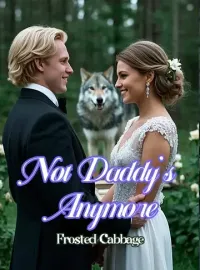 Not Daddy's Anymore Novel Cover