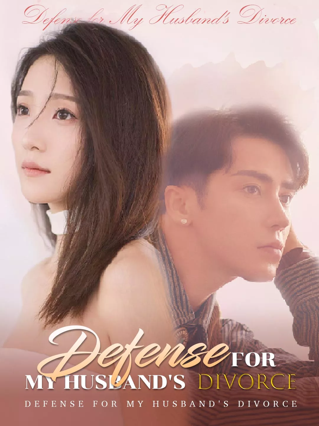 Defense for My Husband's Divorce Review