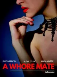 Sampul Novel A Whore Mate